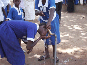 The Gambia School